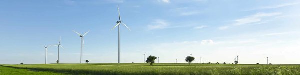 La révolution des emballages durables : explorer les alternatives écologiques pour préserver l'huile d'olive