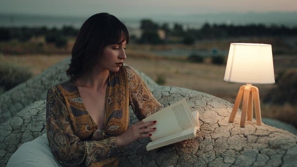 WordPress actualisé : comment gérer les mises à jour